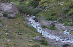 Story 4 - 131127 Crowsnest Pass Herald