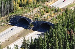 Story 3 - 140402 Crowsnest Pass Herald