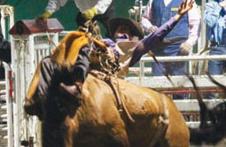 Story 1 - 140514 Crowsnest Pass Herald