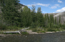 Story 5 - 150701 Crowsnest Pass Herald