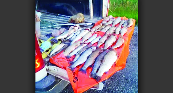 Crowsnest Pass Herald Front Page