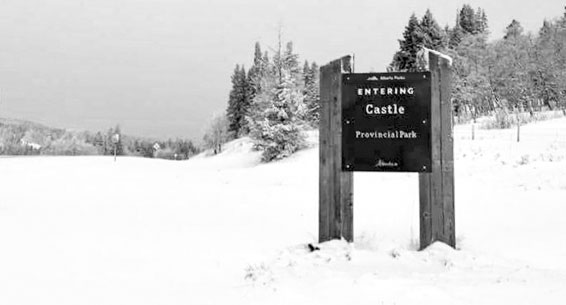 Crowsnest Pass Herald Front Page