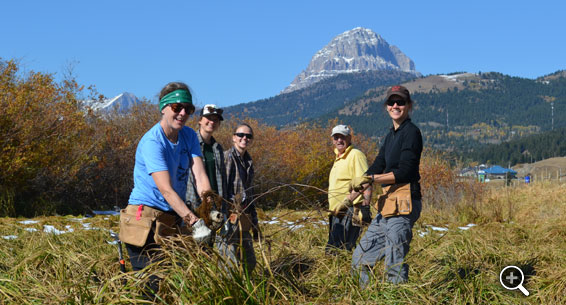 Crowsnest Pass Herald Front Page