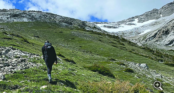 Crowsnest Pass Herald Front Page